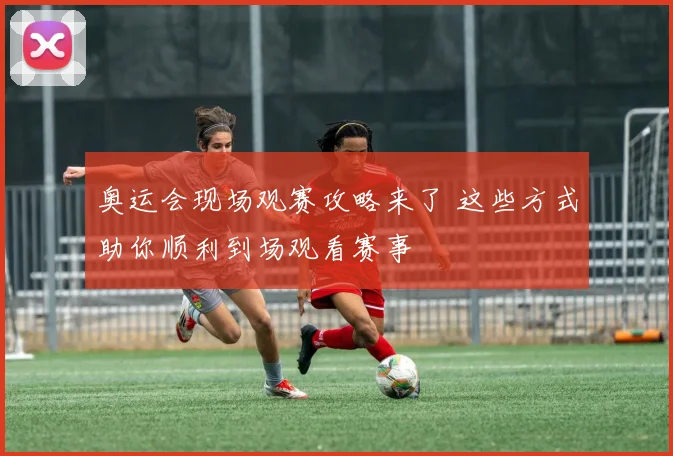 奥运会现场观赛攻略来了 这些方式助你顺利到场观看赛事