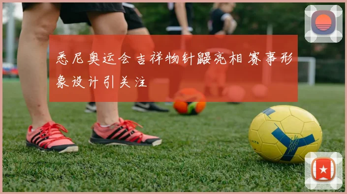 悉尼奥运会吉祥物针鼹亮相 赛事形象设计引关注